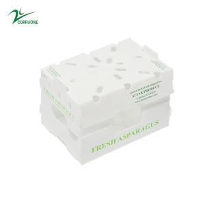 Wholesale Corruone PP Correx fruit seafood vegetable Cartonplast corrugated plastic Polypropylene boxes from china suppliers