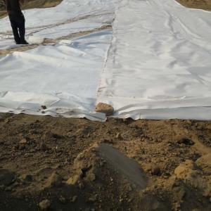 Wholesale 1.5mm LDPE Geomembrane Laminated with 300gsm PET Filament Needle Punch Nonwoven Composite Geomembrane for waterproof from china suppliers