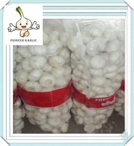 Wholesale fresh garlic of China Chinese white garlic natural garlic price in china from china suppliers
