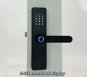 Wholesale ELA E-551 Biometric Fingerprint Smart Lock Hotel Door Lock With Electric Feature For Smart Homes Or Offices from china suppliers