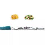 Commercial Restaurant Orange Industrial Equipment Bubble Washer Clean Line Fruit