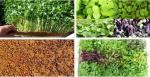 Hot Sale 100% Biodegradable Natural Jute Material Felt Fabric for Seed Growing