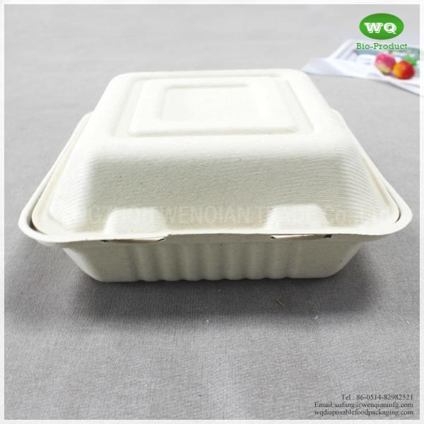 8x8 Inch Three Compartments Compostable Sugarcane Fiber Disposable Lunch Box