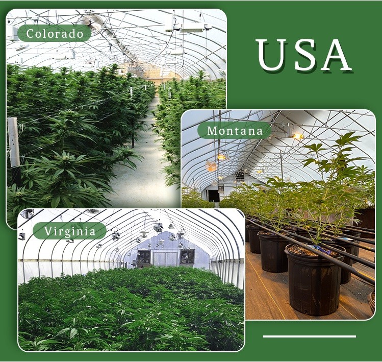 Automatic Ventilation Light Deprivation Greenhouse With UV Resistant Polyethylene Film