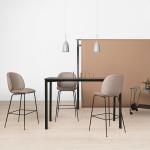 Beetle Stool Modern Bar Chairs Stainless Steel Powder Coated With Conical Legs