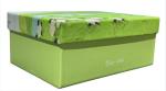 Beautiful Pattern Flip Top Gift Box Custom Rigid Cardstock Elegant Design