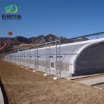Maximize Your Produce Yield with this Large Hydroponics Vegetable Sunlight
