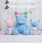 Lovely 12 Inch Blue Teddy Bear Stuffed Soft Plush Toys For Promotion Gifts