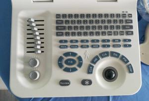Wholesale USB Canine Bovine Veterinary Ultrasound Equipment 3.5Mhz Convex Array Probe from china suppliers