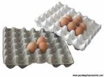Egg Tray Machine Price