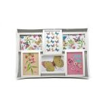 Durable White Collage Photo Frame 52.5 X 36 X 3.1 Cm For Home Decorative
