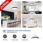 220V 3 Plastic Blades AC Motor Retractable Ceiling Fan With Side Light