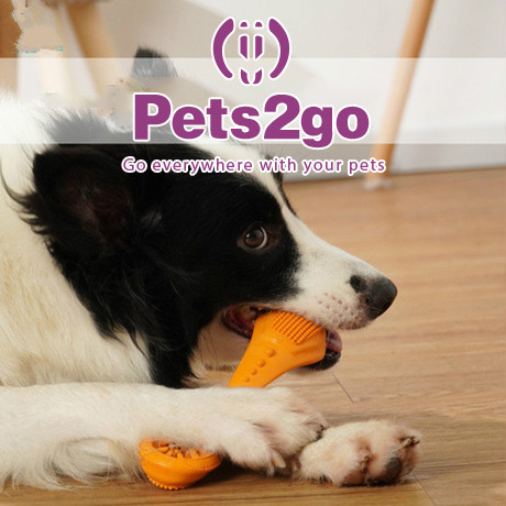 Hard Rubber Interactive Dog Chew Toys For Teeth Grinding