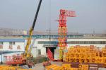 PT7532 Flat Top Tower Crane 75mts Working Jib 20t Load Without Head Type