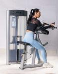 High Quality Pin Loaded Biceps Curl Machine for Arms Strength Training and Body
