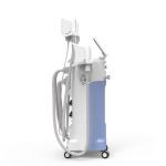 2019 trend Cryolipolysis Slim Machine with 4 Handles /Fat Freezing Liposuction