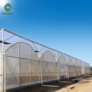 Wholesale Elasticity 2.5mm 120km/H Multi Span Film Greenhouse from china suppliers