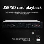 LDZS 5.1 Channel Professional Audio Amplifier Ktv Home Theatre System 2 Mics