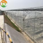 95% Transmittance Agricultural Plastic Film Greenhouse With Film Cover Material