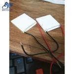 High Temperature Resistance 200 Degrees Electric Cooler Thermoelectric Heater
