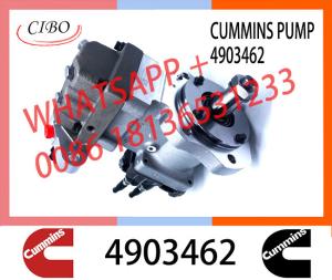 Wholesale cummins Diesel Engine parts Cmmins QSL8.9 Fuel Pump 3973228 4954200 4921431 4903462 from china suppliers