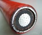 Medium Voltage Power Cable IEC60502 BS6622 VDE N2xsery Yjv32 Aluminum XLPE