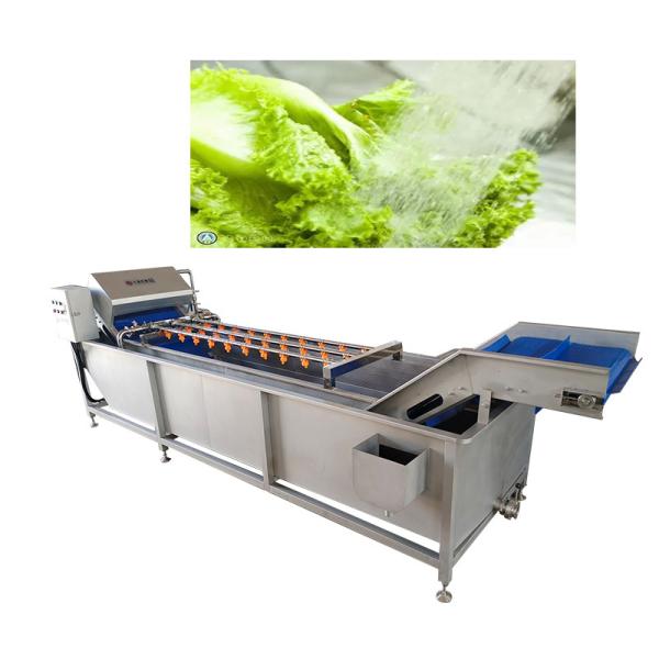 Belt Type 2T/H Vegetable Fruit Washing Machine High Pressure Spray Washing