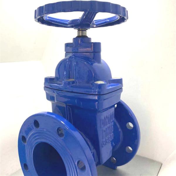 NRS ANSI DIN3352 F4 F5 Rubber Resilient Seated Cast Iron non-rising Stem Gate