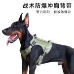 Professional Tactical Dog Harness | MOLLE System for Accessories | For Military,