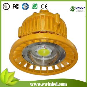 Wholesale 30W LED Explosion-proof Light with IP66 Protection Grade, COB High Brightness from china suppliers