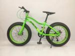 AAA Quality Steel 20 Inch Fat Tire Electric Bike