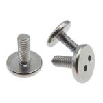 HEX Custom Stainless Steel 304 Snake Eye Big Head Antitheft Screw 15mm-180mm