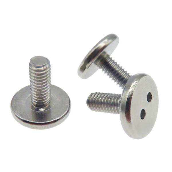 HEX Custom Stainless Steel 304 Snake Eye Big Head Antitheft Screw 15mm-180mm