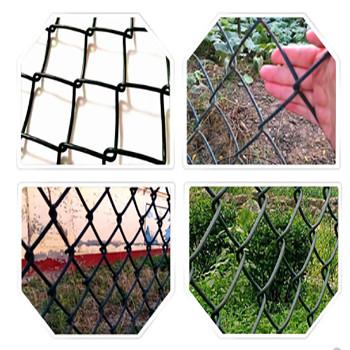 Guaranteed PVC Coated Chain Link Fence for Durable Aquaculture and Orchard