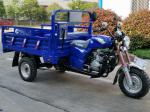 800W 3 Wheel Cargo Motorcycle