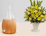 70ml 7 Color Changing Waterless Nebulizing Essential Oil Diffuser