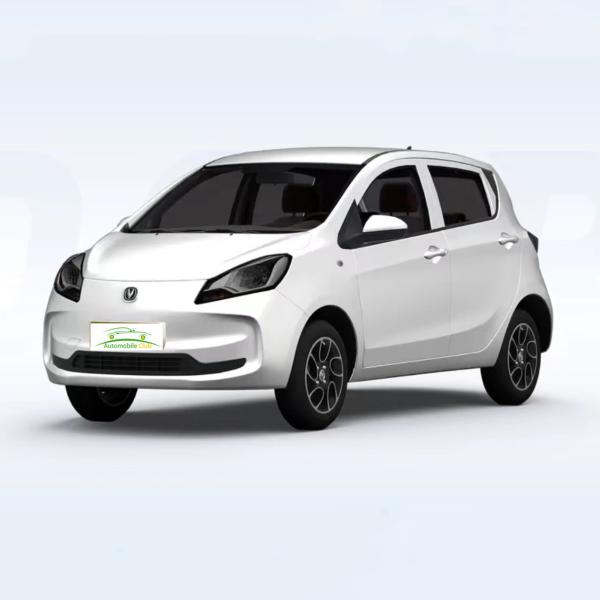 Changan Benben E-Star Electric Car 2023 Model 5 Door 5 Seats Pure Electric 75HP