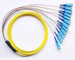 4, 6, 8, 12, 24, 48 Fibers Optional Ribbon multi-fiber Optic Pigtail for
