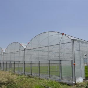 China Anti Insect Net Multi Span Hydroponic Tunnel Plastic Greenhouse For Vegetable on sale