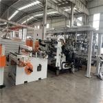 300-1200 kg/h Twin Screw Extruder PET Packaging Sheet Extrusion Line Customized