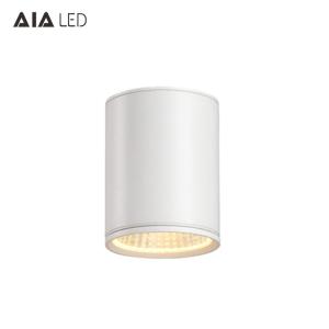 Wholesale IP65 led surface mounted downlight 30W led down light &amp;exterior downlight for bathroom from china suppliers