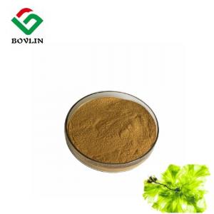 Wholesale Organic CAS 9005-32-7 Seaweed Polysaccharide Brown Powder Healthcare from china suppliers