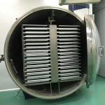 Food Vacuum Freeze Drying Machine For Vegetable and Fruit Drying