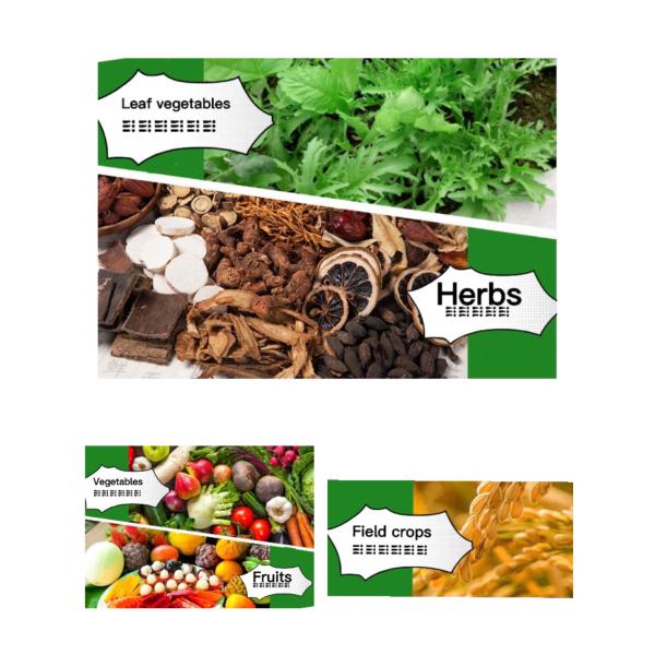 Yield Booster Water Soluble Liquid Fertilizer NPK 15-15-15