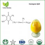 coenzyme q10,coenzyme q10 water soluble,halal coenzyme q10,coenzyme q10