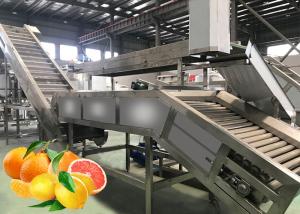 Wholesale Fully automatic Citrus Processing Line increases production capacity by more than 30% from china suppliers