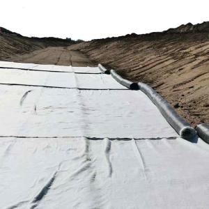 Wholesale White Geosynthetic Clay Liner for Waterproofing Municipal Water Conservancy Projects from china suppliers