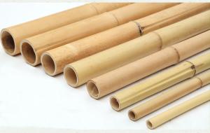 Wholesale Eco Friendly Natural Bamboo Stakes Poles Cannes 16cm Dia With Different Size from china suppliers