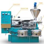 High Efficiency Automatic Small Screw Oil Press Machine 125 KG