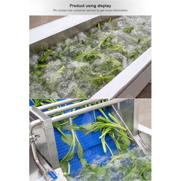 Commercial Fruit And Vegetable Washing Machine High Pressure Water Flow